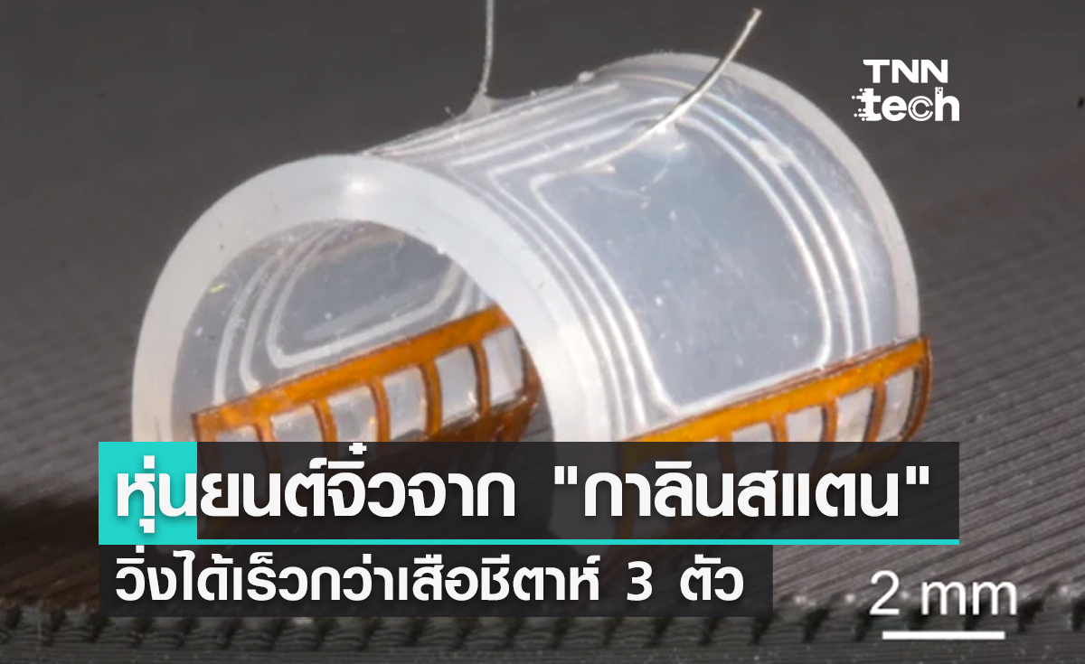 หุ่นยนต์จิ๋วจาก "กาลินสแตน" วิ่งได้เร็วกว่าเสือชีตาห์
