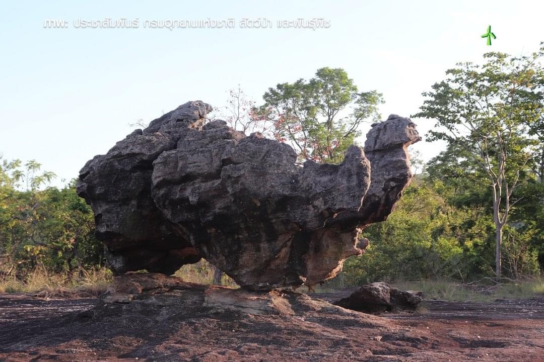 เปิดภาพ “ผาอูฐ” ประติมากรรม จากธรรมชาติ ที่อุทยานแห่งชาติ ภูผาเทิบ จ.มุกดาหาร เปิดภาพ “ผาอูฐ” ประติมากรรม จากธรรมชาติ ที่อุทยานแห่งชาติ ภูผาเทิบ จ.มุกดาหาร