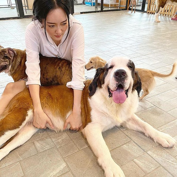 “แก้มบุ๋ม” เผยเปิดคาเฟ่สัตว์ เพราะความรักหมาแมว (มีคลิป) “แก้มบุ๋ม” เผยเปิดคาเฟ่สัตว์ เพราะความรักหมาแมว (มีคลิป)
