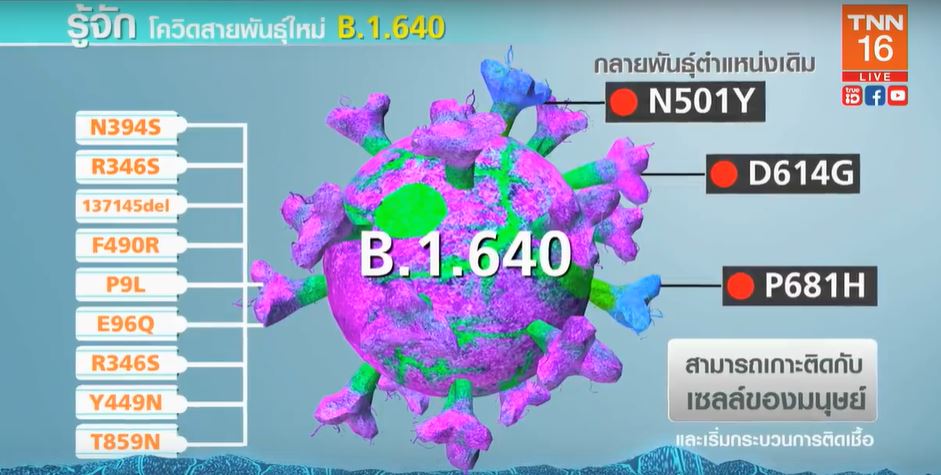 รู้จักโควิดสายพันธุ์ใหม่ “B.1.640” กลายพันธุ์แบบโปรตีนหนาม