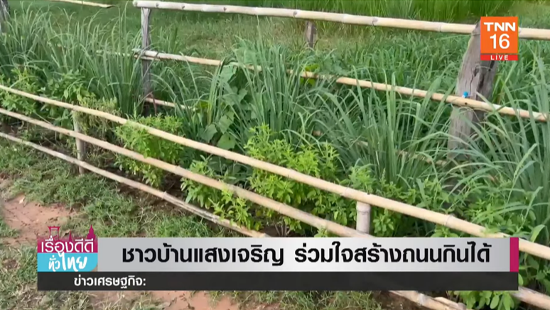 พาไปดู ถนนกินได้ ที่ชาวบ้านแสงเจริญ จ.มหาสารคาม ร่วมใจกันสร้าง