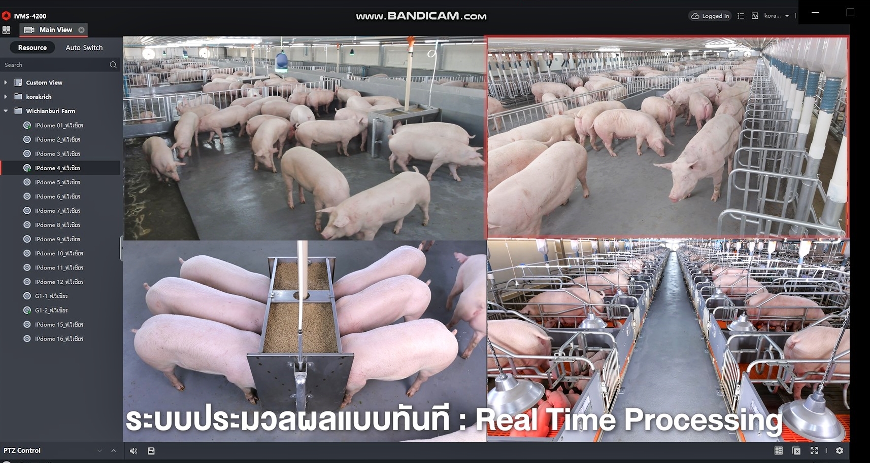 ซีพีเอฟ เดินหน้า Greenfarm - Smart Farm ยกระดับการเลี้ยงหมูปลอดภัยเป็นมิตรกับสิ่งแวดล้อม