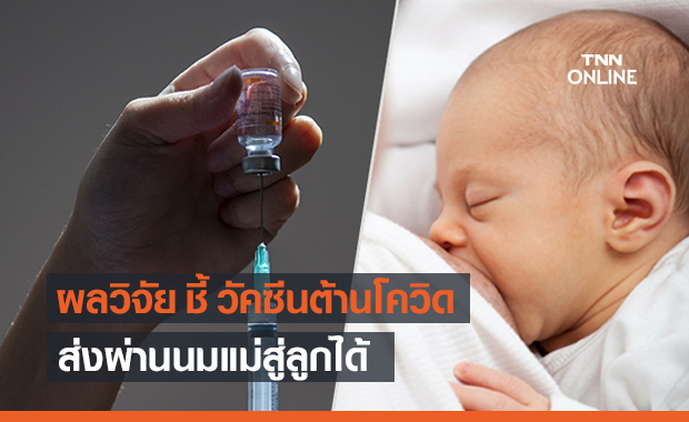 นักวิจัยชี้ วัคซีนต้านโควิด ส่งผ่านนมแม่สู่ลูกได้