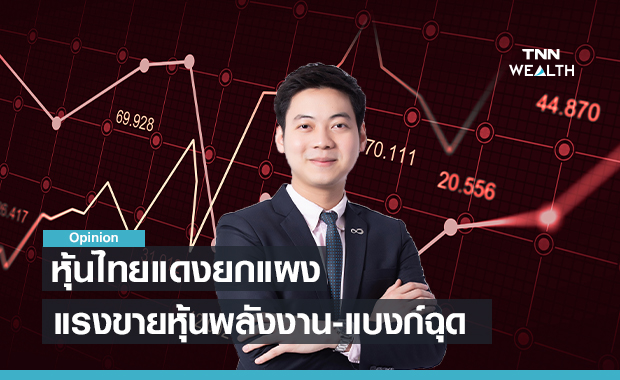 หุ้นไทยแดงยกแผง! แรงขายหุ้นพลังงาน-แบงก์ฉุด  TNN  Wealth