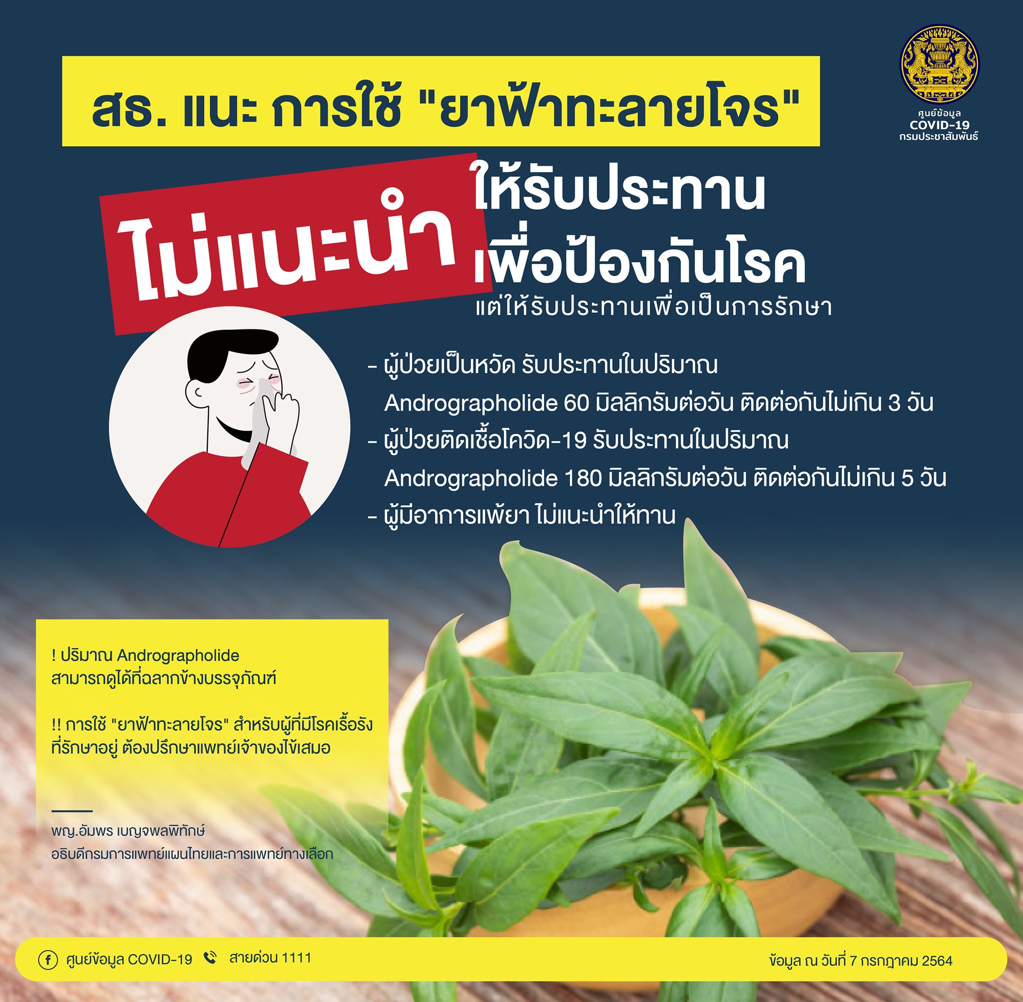 เปิดแนวทางการใช้ ‘ฟ้าทะลายโจร’ รักษาโควิดมีวิธีใช้อย่างไร เปิดแนวทางการใช้ ‘ฟ้าทะลายโจร’ รักษาโควิดมีวิธีใช้อย่างไร