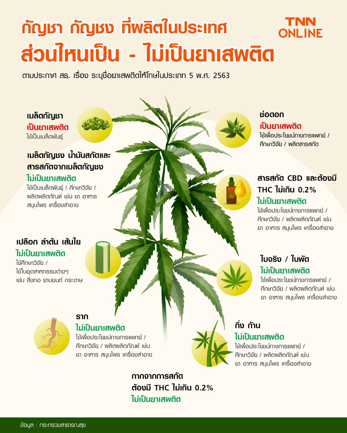 เพิ่มช่องทาง ลงทะเบียนกัญชา หลังมีผู้ใช้งานเว็บ ปลูกกัญ จำนวนมาก เพิ่มช่องทาง ลงทะเบียนกัญชา หลังมีผู้ใช้งานเว็บ ปลูกกัญ จำนวนมาก