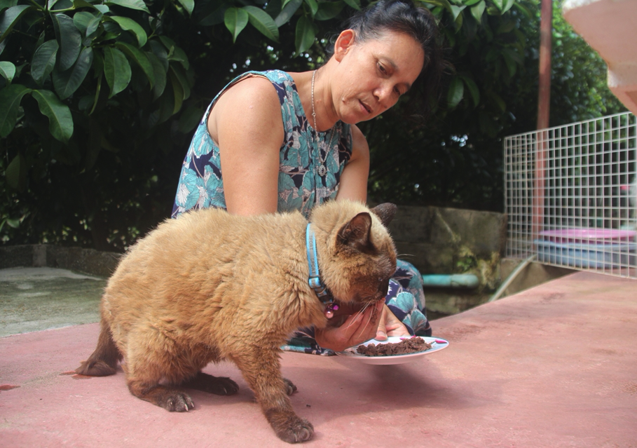 ฮือฮา! ‘ยายทวดแมว’ วัย 34 ขวบเทียบเท่าคนอายุ 160 ปี คาด 'อายุเยอะที่สุดในโลก' ฮือฮา! ‘ยายทวดแมว’ วัย 34 ขวบเทียบเท่าคนอายุ 160 ปี คาด 'อายุเยอะที่สุดในโลก'