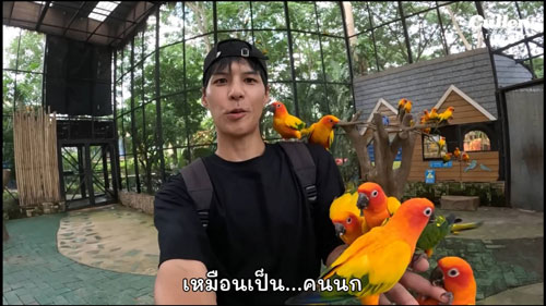 ใจฟู “คัลแลน-พี่จอง” “อปป้าเกาหลี” พาเที่ยวฮีลใจ ใจฟู “คัลแลน-พี่จอง” “อปป้าเกาหลี” พาเที่ยวฮีลใจ