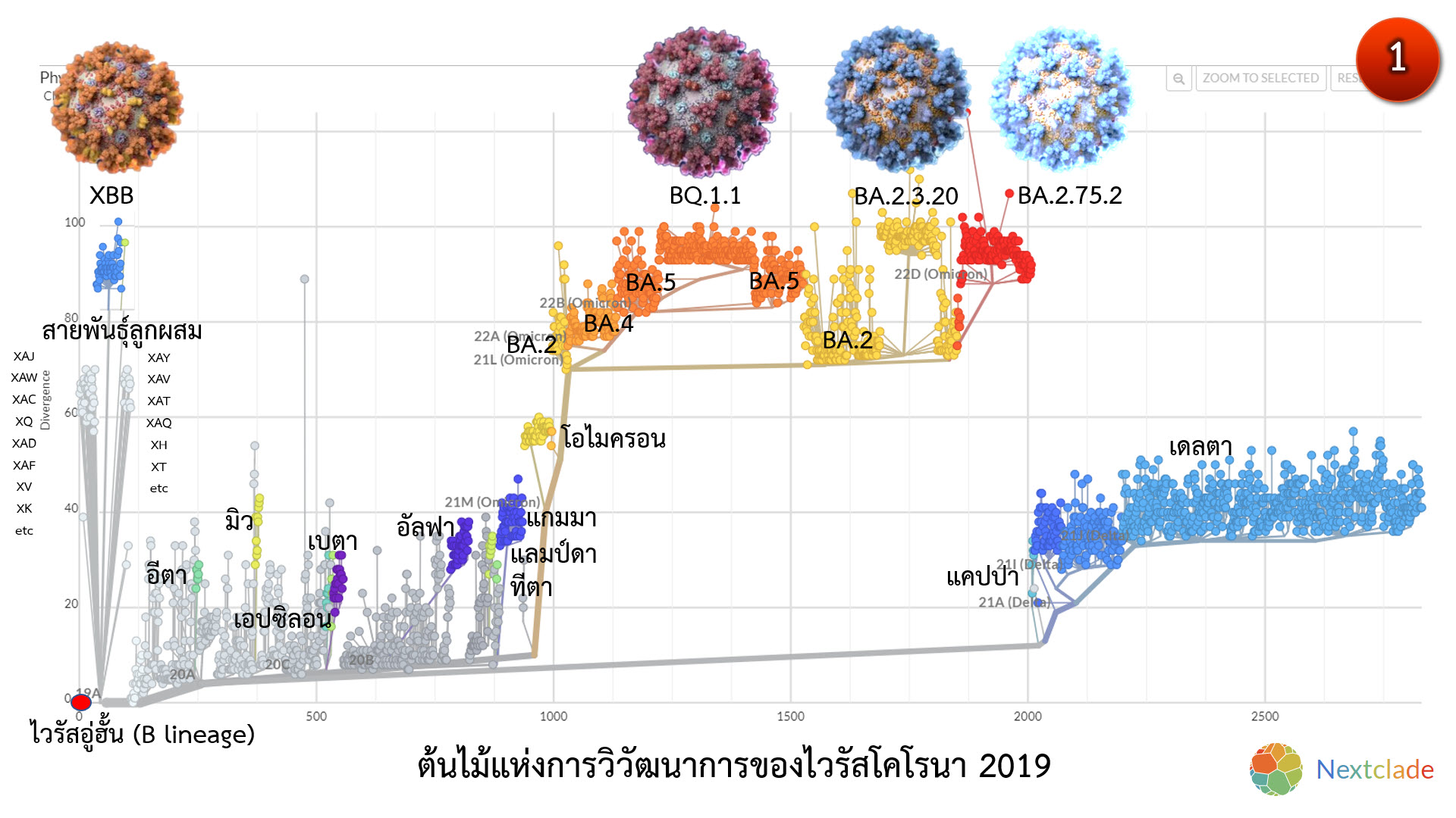 โควิด-19 โอไมครอน XBB คาดระบาดแทนที่ BA.5 สิ้นปีนี้หรือต้นปี 2566 โควิด-19 โอไมครอน XBB คาดระบาดแทนที่ BA.5 สิ้นปีนี้หรือต้นปี 2566