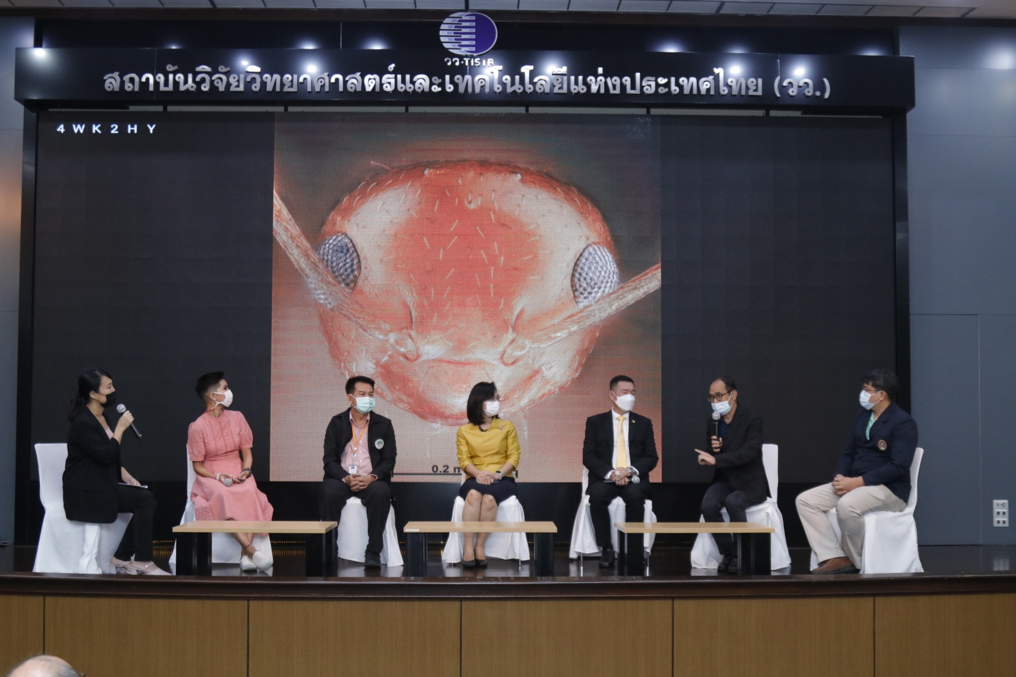 นักวิทย์ไทยค้นพบ สัตว์ 4 ชนิดใหม่ของโลกที่โคราช นักวิทย์ไทยค้นพบ สัตว์ 4 ชนิดใหม่ของโลกที่โคราช