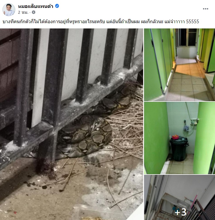 แชร์สนั่น! สถานที่กักตัวเห็นแล้วต้องร้อง ซ้ำมีแขกที่ไม่ได้รับเชิญ แชร์สนั่น! สถานที่กักตัวเห็นแล้วต้องร้อง ซ้ำมีแขกที่ไม่ได้รับเชิญ