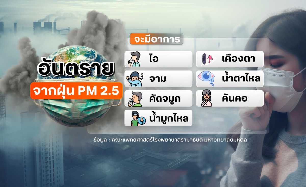 ฝุ่น PM2.5 ภัยร้ายใกล้ตัวทำลายสุขภาพ ฝุ่น PM2.5 ภัยร้ายใกล้ตัวทำลายสุขภาพ