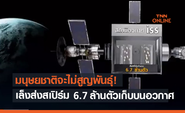 นาซา เตรียมส่ง อสุจิมนุษย์ 6.7 ล้านตัวขึ้นไปเก็บบนอวกาศ