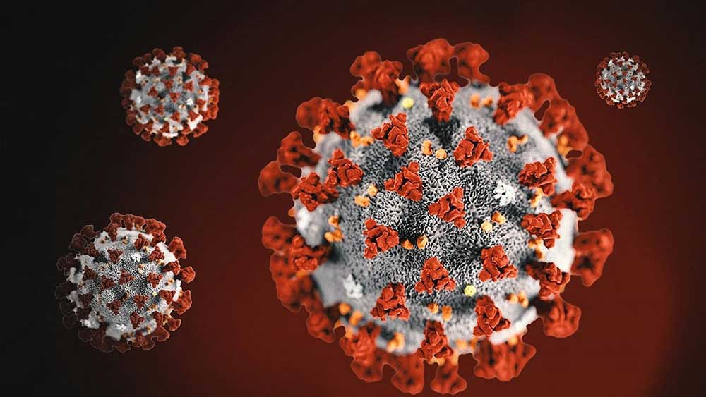 WHO ตอบข้อสงสัย ทำไมไวรัสโควิด-19 จึงกลายพันธุ์?