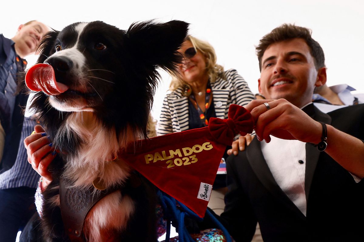 อุ่นเครื่องก่อนปาล์มทองประกาศผลรางวัล Palm Dog 2023 (มีคลิป) อุ่นเครื่องก่อนปาล์มทองประกาศผลรางวัล Palm Dog 2023 (มีคลิป)