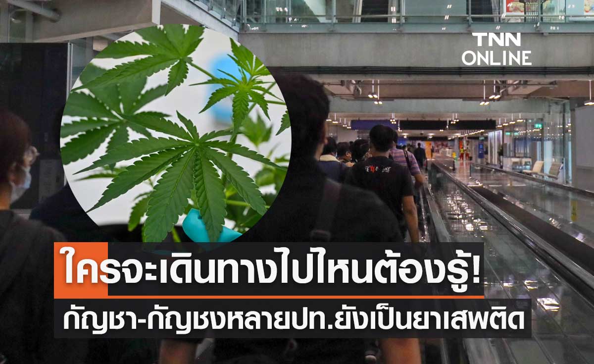 กัญชา-กัญชง หลายประเทศยังเป็นยาเสพติด ใครจะเดินทางไปไหนต้องรู้!