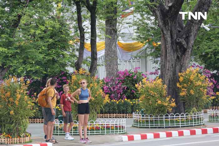 ประดับดอกไม้ เติมสีสันบนถนนประวัติศาสตร์ เฉลิมพระเกียรติในโอกาสพระราชพิธีมหามงคลวันเฉลิมพระชนมพรรษา 2567 ประดับดอกไม้ เติมสีสันบนถนนประวัติศาสตร์ เฉลิมพระเกียรติในโอกาสพระราชพิธีมหามงคลวันเฉลิมพระชนมพรรษา 2567