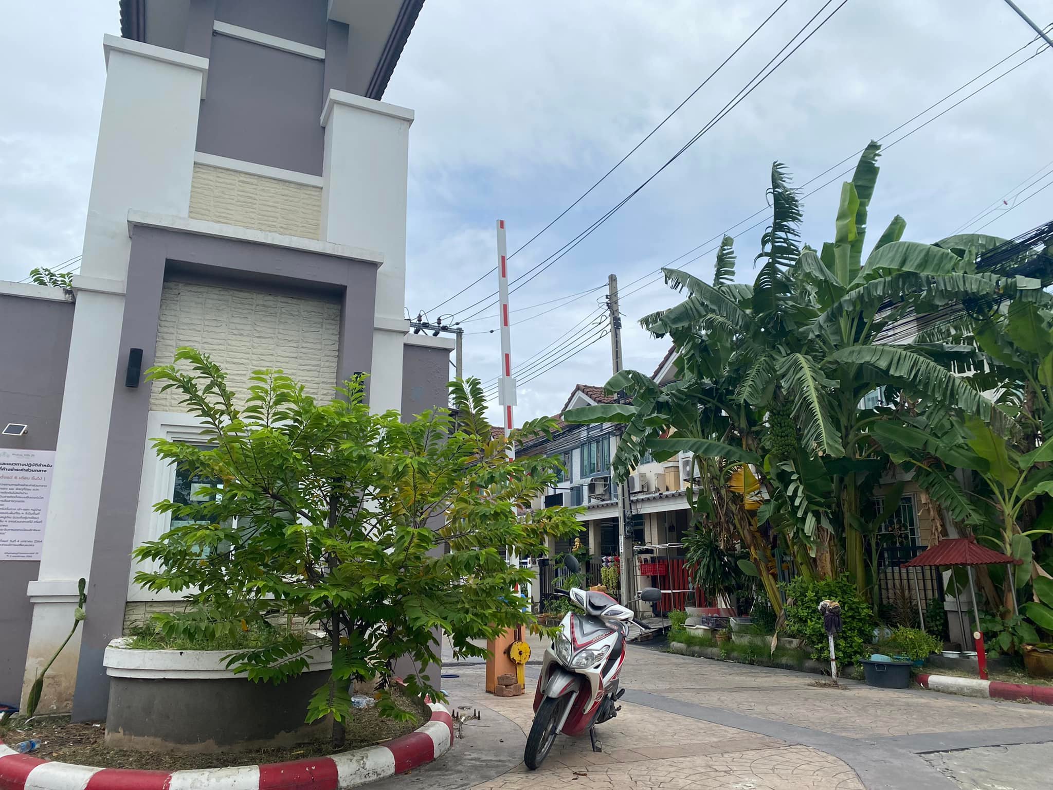 เธอคือใคร? ไซบีเรียนหลงทางเนียนขึ้นรถนั่งข้างคนขับ หนุ่มงงต้องพาไปส่งบ้าน เธอคือใคร? ไซบีเรียนหลงทางเนียนขึ้นรถนั่งข้างคนขับ หนุ่มงงต้องพาไปส่งบ้าน