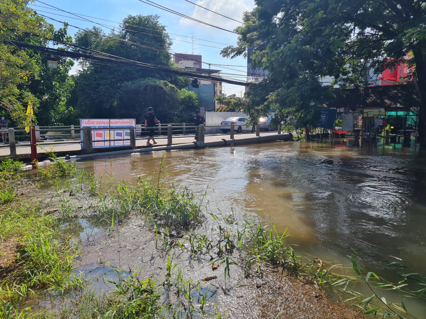 เตือนด่วน! โคราช 11 อำเภอเฝ้าระวังสถานการณ์น้ำท่วมฉับพลัน เตือนด่วน! โคราช 11 อำเภอเฝ้าระวังสถานการณ์น้ำท่วมฉับพลัน