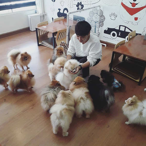 10 คาเฟ่แถวราชพฤกษ์ ร้านเด็ดถ่ายรูปสวย ห้ามพลาดไปเช็กอิน
