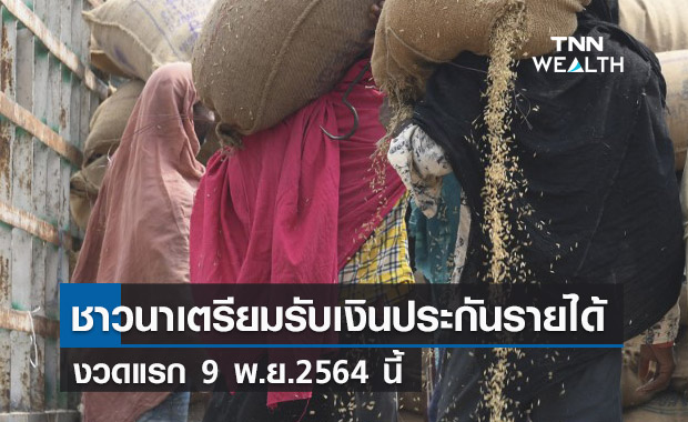 พาณิชย์ เตรียมจ่ายเงินประกันรายได้ข้าวเปลือกงวดแรก  9 พ.ย.นี้