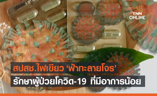 บอร์ดสปสช.ไฟเขียว ‘ฟ้าทะลายโจร’ รักษาผู้ป่วยโควิดอาการน้อย 