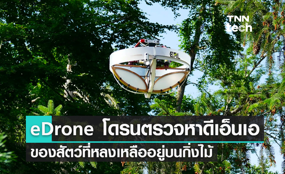 นักวิจัยสวิตเซอร์แลนด์ ใช้ eDrone ตรวจหาร่องรอยดีเอ็นเอของสัตว์ที่หลงเหลือบนกิ่งไม้