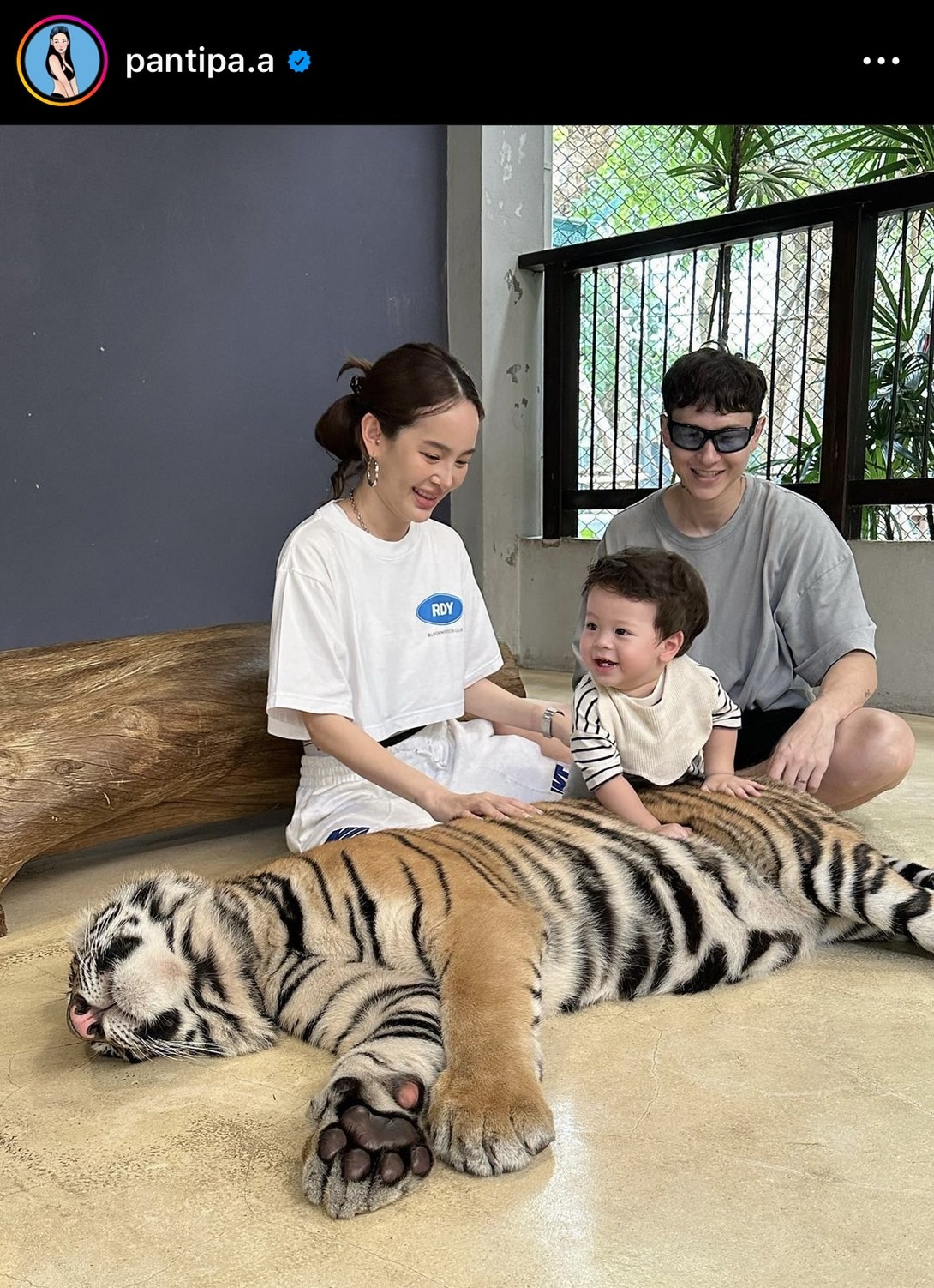ปุ้มปุ้ย อวดโมเมนต์สุดน่ารัก น้องไซอัลบลู ทำพีคจัด เจอเสือครั้งแรก! ปุ้มปุ้ย อวดโมเมนต์สุดน่ารัก น้องไซอัลบลู ทำพีคจัด เจอเสือครั้งแรก!