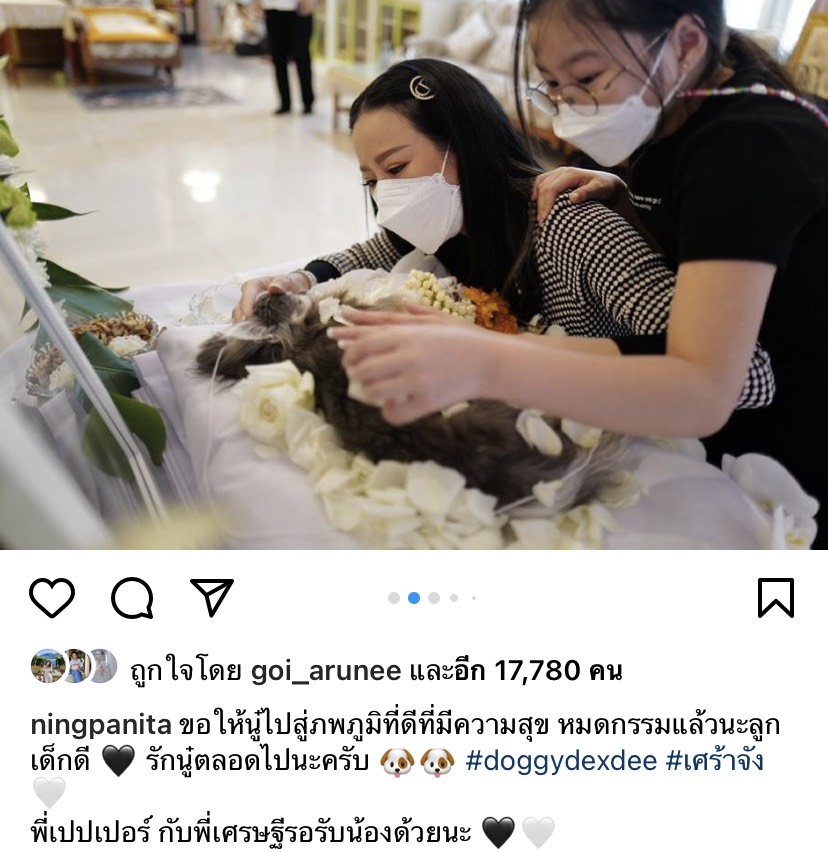 หนิง ปณิตา เศร้าเสียน้องหมาสุดรักด้วยโรคสู้มะเร็ง-หัวใจ หนิง ปณิตา เศร้าเสียน้องหมาสุดรักด้วยโรคสู้มะเร็ง-หัวใจ