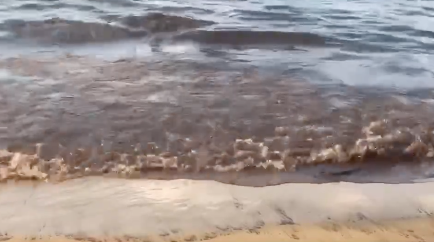 เปิดภาพมวลคราบน้ำมันทะลักหาดแม่รำพึง ผู้ประกอบการวอนแก้ไข เปิดภาพมวลคราบน้ำมันทะลักหาดแม่รำพึง ผู้ประกอบการวอนแก้ไข