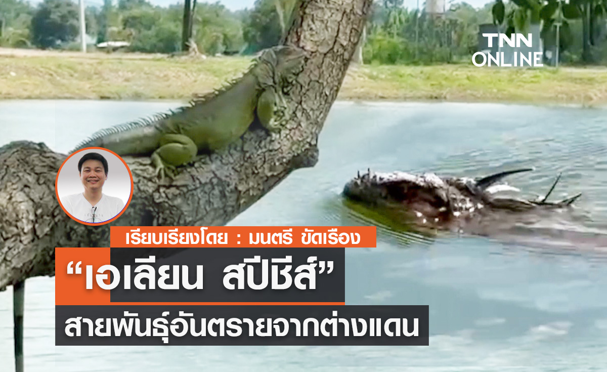 “เอเลียน สปีชีส์” สายพันธุ์อันตรายจากต่างแดน