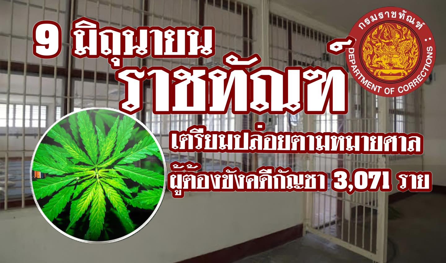 ปลดล็อกกัญชา 9 มิ.ย.65 ราชทัณฑ์ ปล่อยนักโทษคดีกัญชากว่า 3 พันราย ปลดล็อกกัญชา 9 มิ.ย.65 ราชทัณฑ์ ปล่อยนักโทษคดีกัญชากว่า 3 พันราย