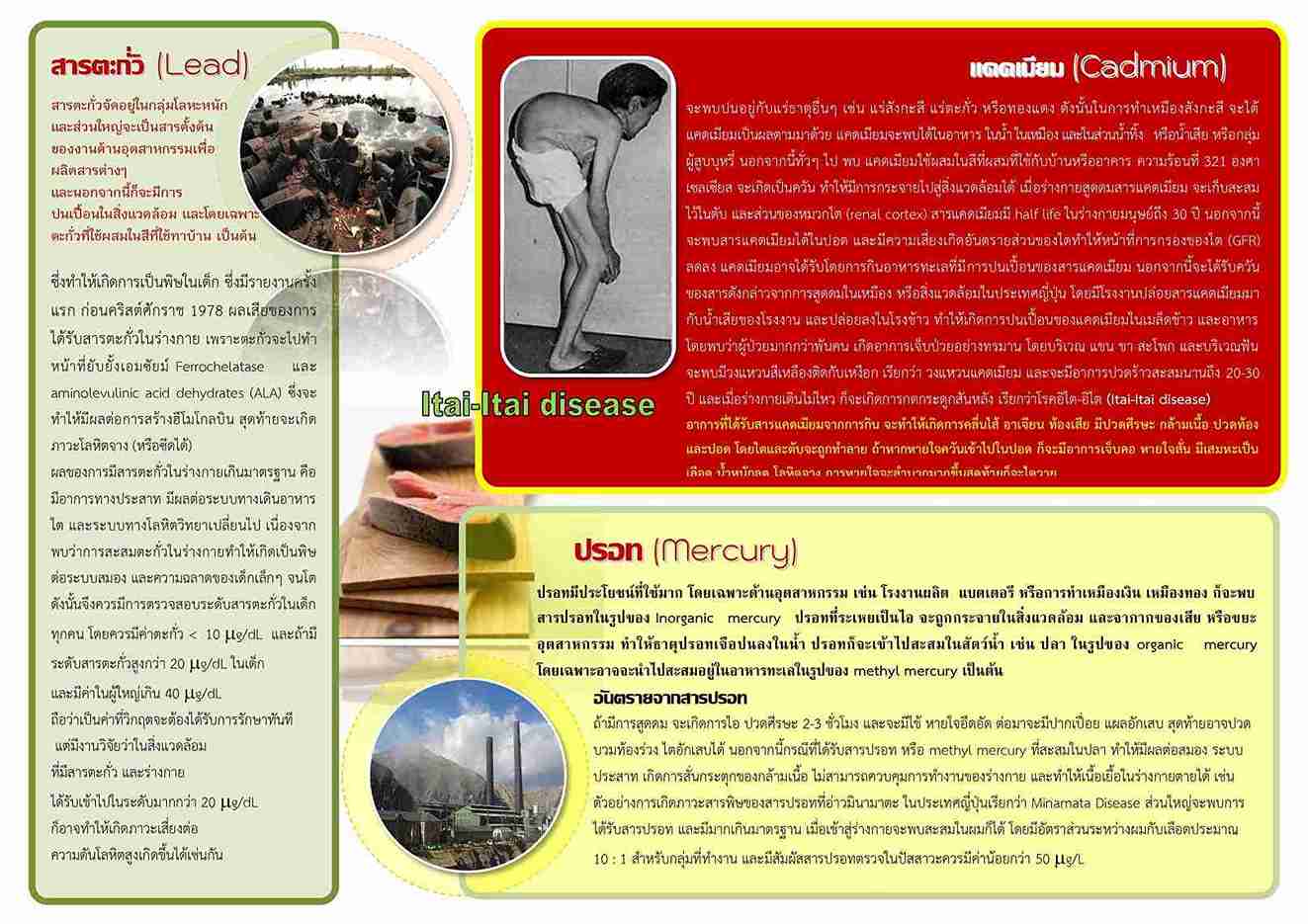 แคดเมียม คืออะไร? รู้จักโลหะอันตราย เมื่อได้รับส่งผลอย่างไรต่อร่างกาย