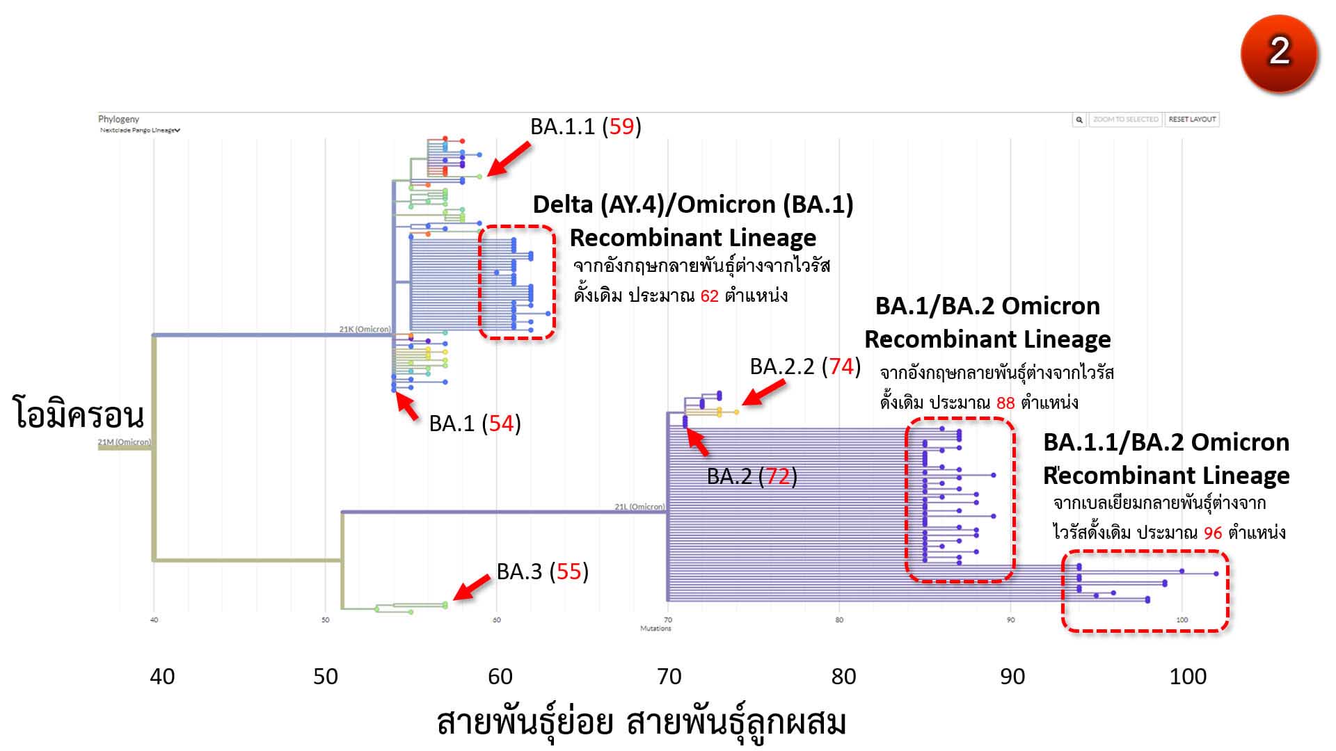 ศูนย์จีโนมฯ เตือนระวังโควิดโอมิครอนลูกผสม BA.2-BA.1.1 เจอในเบลเยียม ศูนย์จีโนมฯ เตือนระวังโควิดโอมิครอนลูกผสม BA.2-BA.1.1 เจอในเบลเยียม