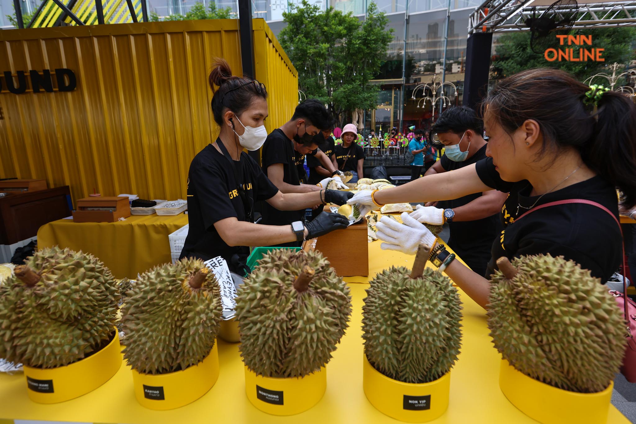 เกรฮาวด์เอาใจคนรักทุเรียน จัดงาน บุฟเฟ่ต์ทุเรียน กลางกรุง ครั้งที่ 2 เกรฮาวด์เอาใจคนรักทุเรียน จัดงาน บุฟเฟ่ต์ทุเรียน กลางกรุง ครั้งที่ 2