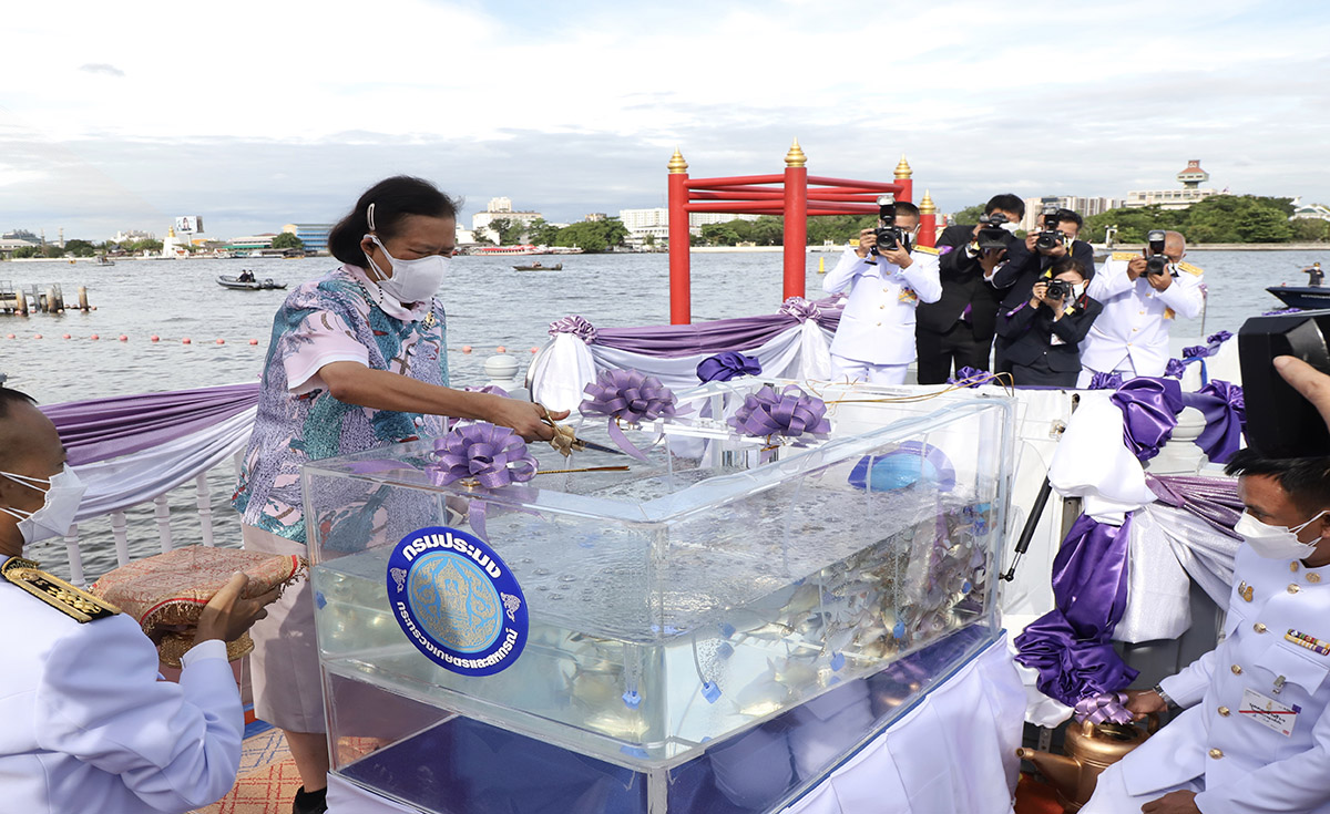  กรมสมเด็จพระเทพฯ  เสด็จฯไปทรงปล่อยพันธุ์ปลา เนื่องในโอกาสวันคล้ายวันพระราชสมภพ 