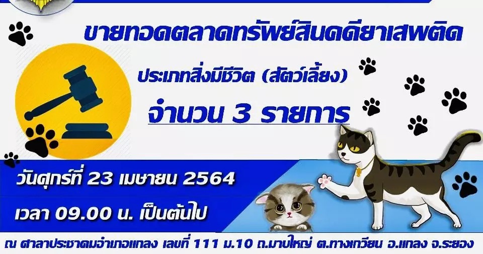เตรียมขายทอดตลาดแมวสายพันธุ์ต่างประเทศ6ตัว 23 เม.ย.นี้ เตรียมขายทอดตลาดแมวสายพันธุ์ต่างประเทศ6ตัว 23 เม.ย.นี้