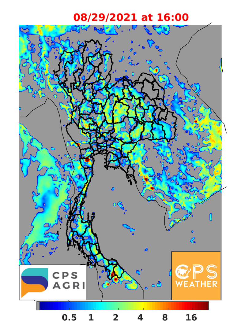พยากรณ์ฝนวันนี้ พื้นที่ไหนชุ่มฉ่ำ ตกหนัก-เบา เช็กเลย!