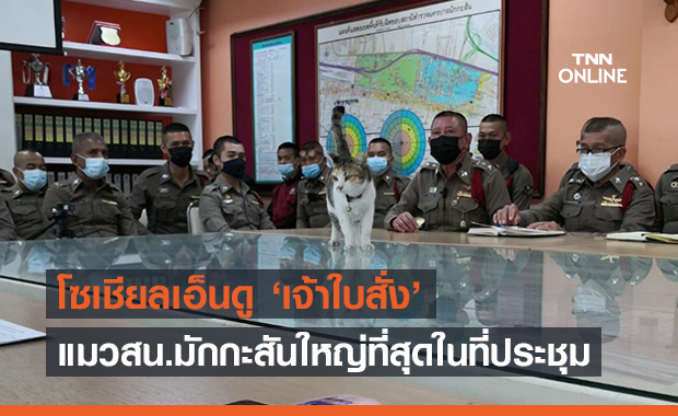 เอ็นดู"เจ้าใบสั่ง"แมวสน.มักกะสันคุมโต๊ะประชุมบริหารตำรวจ 