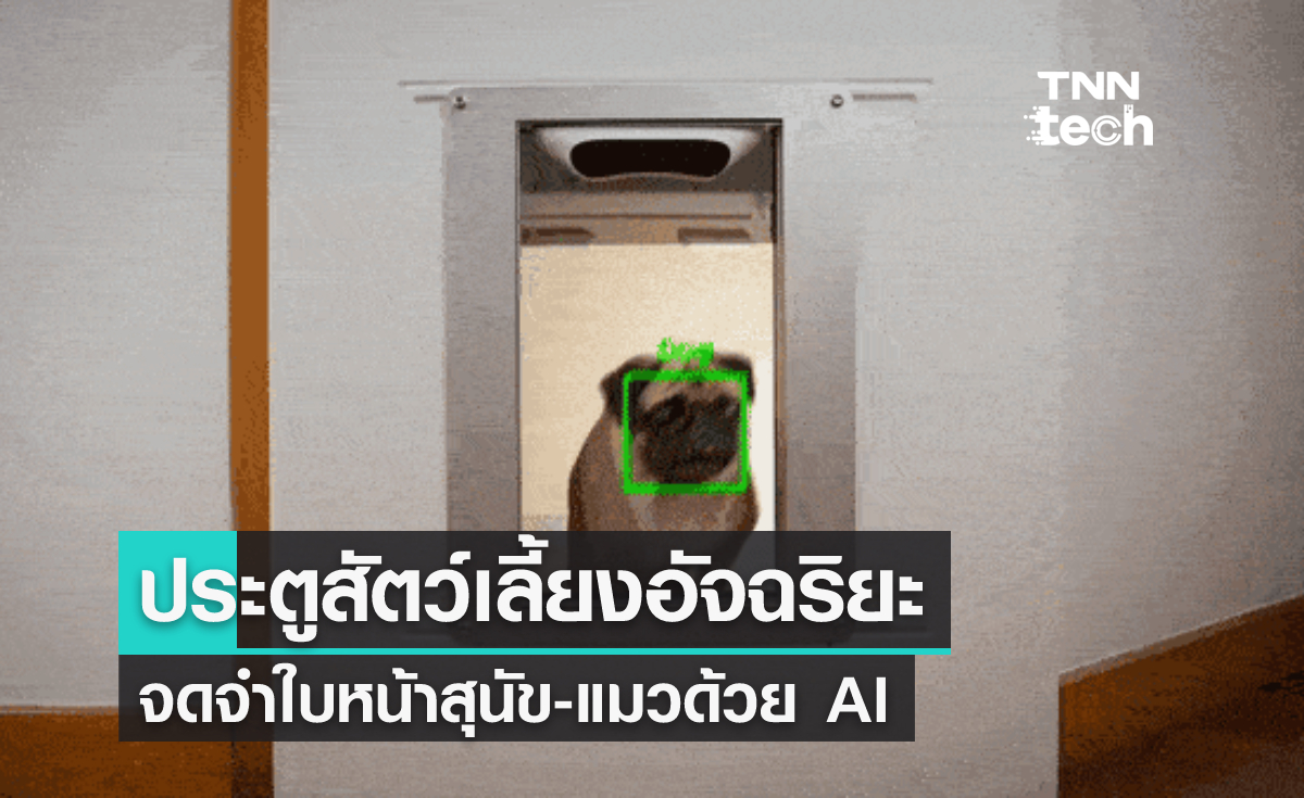 ประตูสัตว์เลี้ยงอัจฉริยะจดจำใบหน้าสุนัขและแมวด้วย AI
