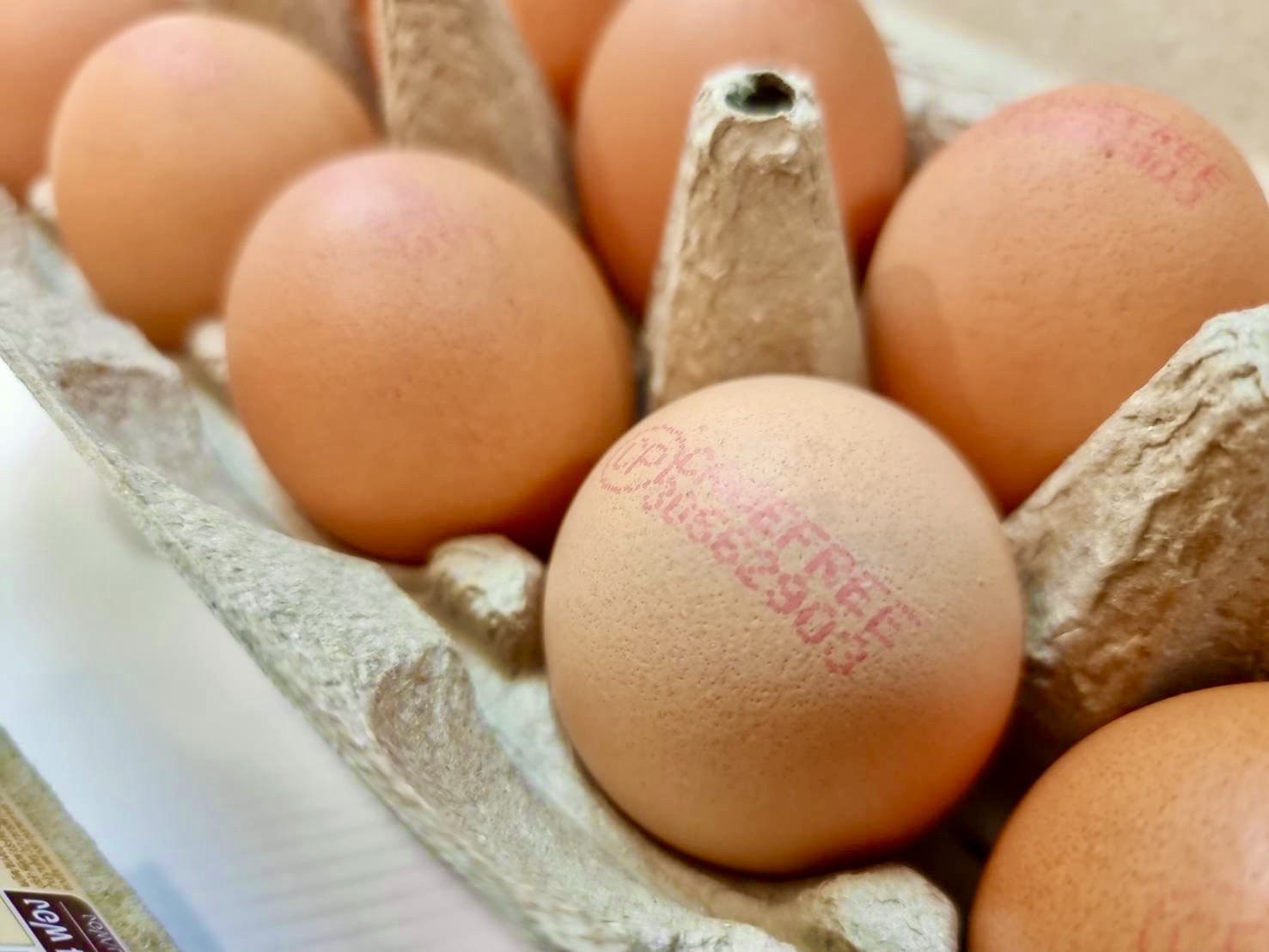 ซีพีเอฟ คัดสรร ไข่ไก่ Cage Free สด สะอาด ปลอดภัย มาตรฐานระดับสากล ซีพีเอฟ คัดสรร ไข่ไก่ Cage Free สด สะอาด ปลอดภัย มาตรฐานระดับสากล