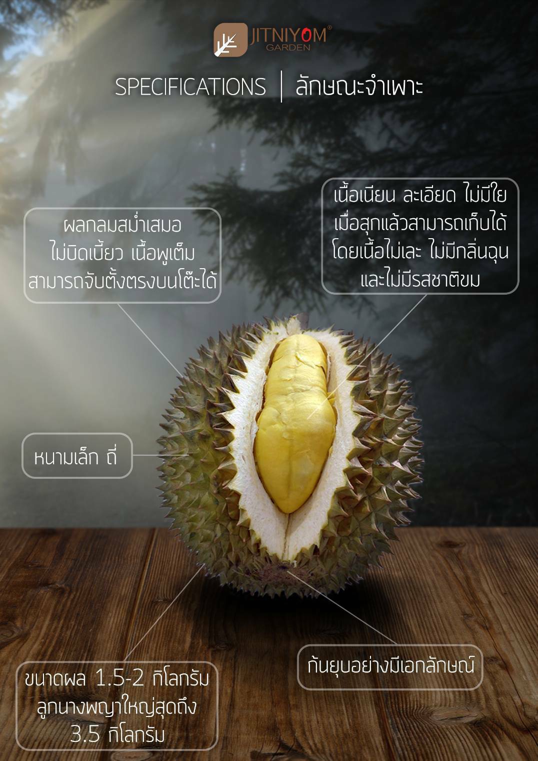 เที่ยวชมสวนจิตรนิยม ทุเรียนกบชายน้ำโบราณ 120 ปี นางพญาขายลูกละ 1 แสนบาท