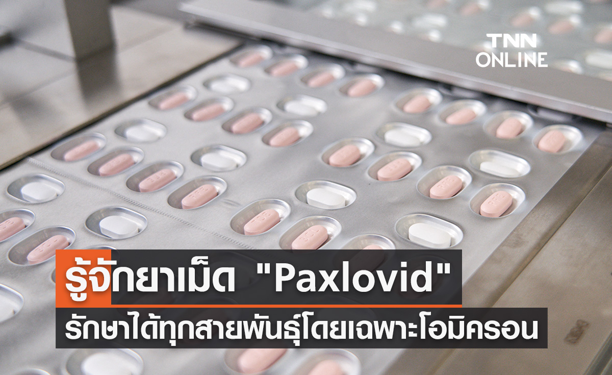 รู้จักยาเม็ด Paxlovid รักษาโควิดได้ทุกสายพันธุ์ โดยเฉพาะ “โอมิครอน”