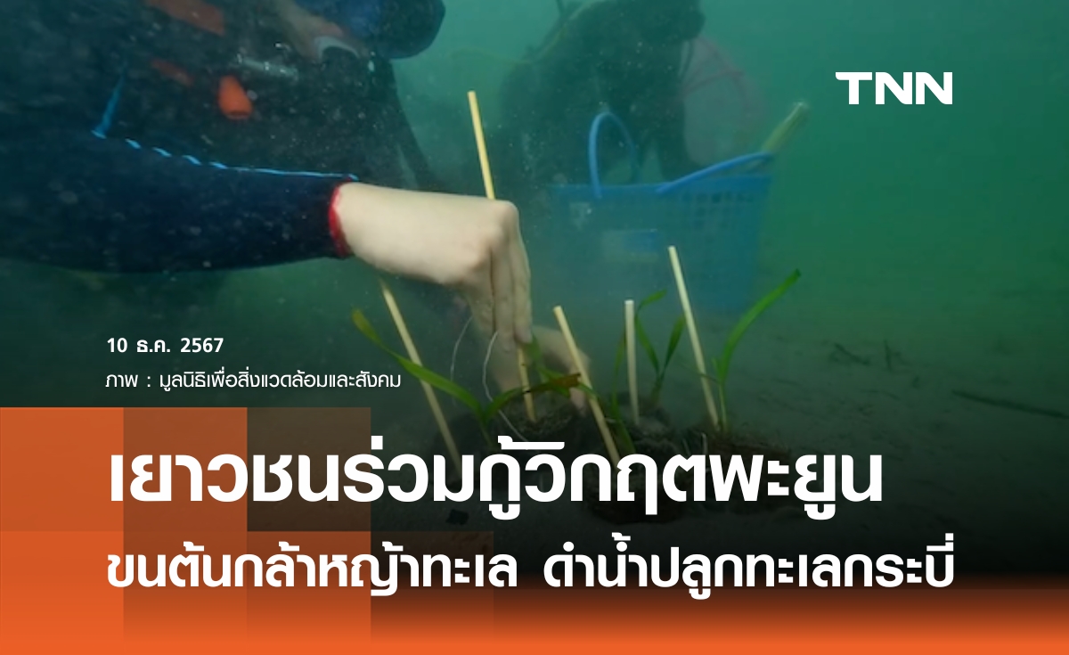 กลุ่มเยาวชนร่วมกู้วิกฤตพะยูน ขนหญ้าทะเล ดำน้ำลงปลูกทะเล จ.กระบี่