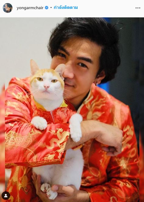 โย่ง อาร์มแชร์  ใจหล่นวูบ!! แมวส้มหยุด หายออกจากบ้าน... 