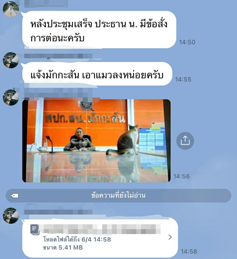 เอ็นดู! แมวป่วนประชุมตร. ต้องแจ้งด่วนเอาน้องลงด้วย เอ็นดู! แมวป่วนประชุมตร. ต้องแจ้งด่วนเอาน้องลงด้วย