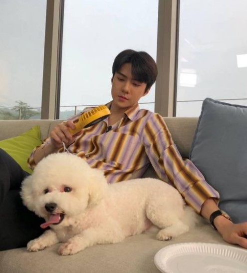 ชวนรู้จักน้องหมาสุดน่ารักของเหล่าซุปตาร์เกาหลี