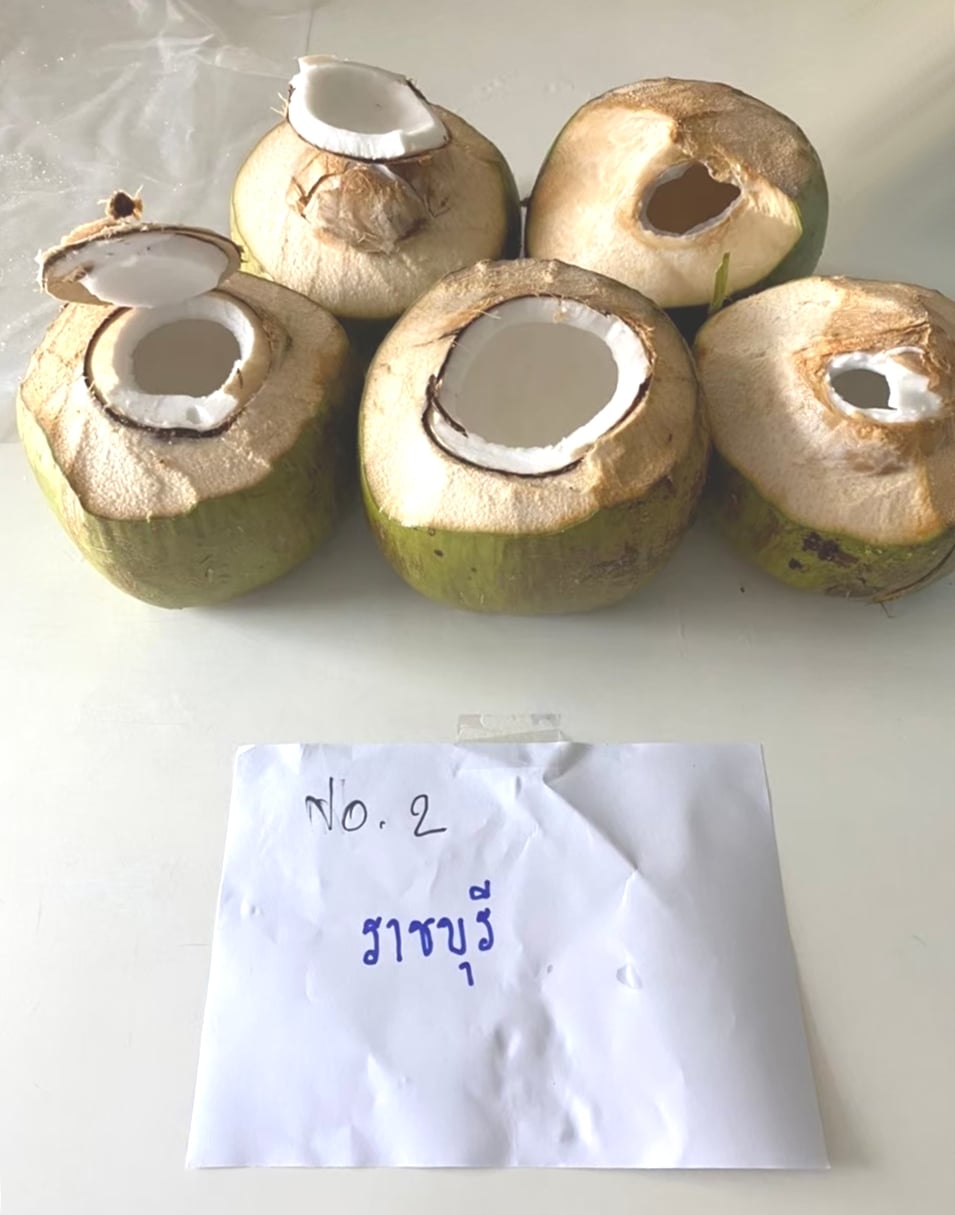 ผลวิจัยชัด! สรรพคุณ น้ำมะพร้าว ช่วยอวัยวะสืบพันธุ์ เพิ่มสมรรถภาพทางเพศ สเปิร์มแข็งแรง ผลวิจัยชัด! สรรพคุณ น้ำมะพร้าว ช่วยอวัยวะสืบพันธุ์ เพิ่มสมรรถภาพทางเพศ สเปิร์มแข็งแรง