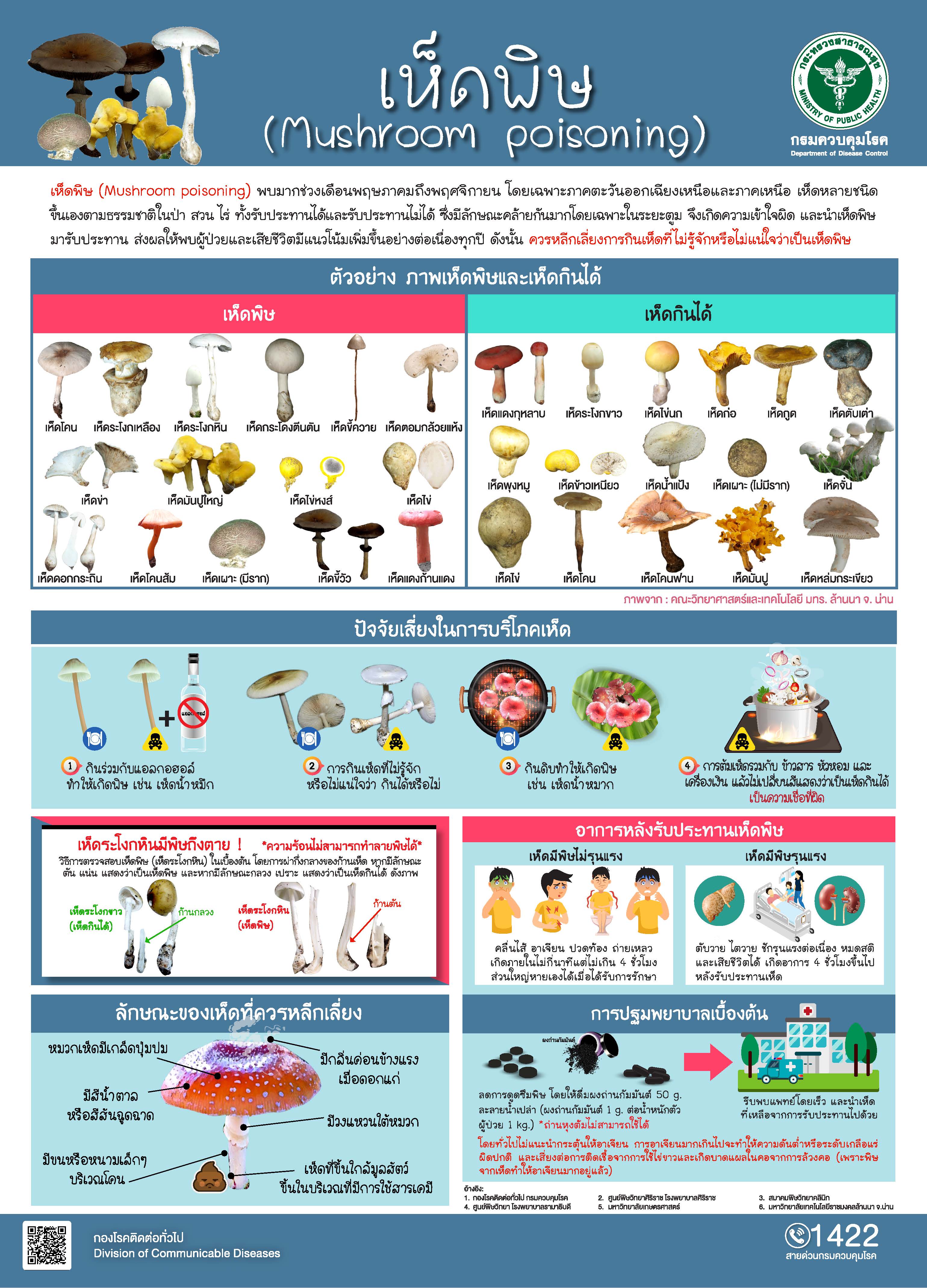 ฤดูฝนระวัง เห็ดพิษ ทานผิดโดยไม่ระวัง อันตรายถึงชีวิต!