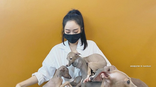 “แก้มบุ๋ม” ฟ้องคู่กรณีด่าทารุณกรรมสัตว์เรียกเงิน 1 ล้านบาท  (มีคลิป)